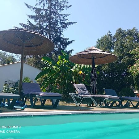 Mas Des Vignes Piscine Chauffee Bed & Breakfast Le Champ-Saint-Pere Exterior foto