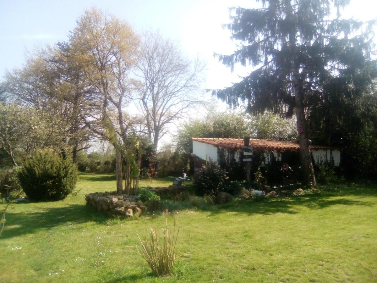 Mas Des Vignes Piscine Chauffee Bed & Breakfast Le Champ-Saint-Pere Exterior foto